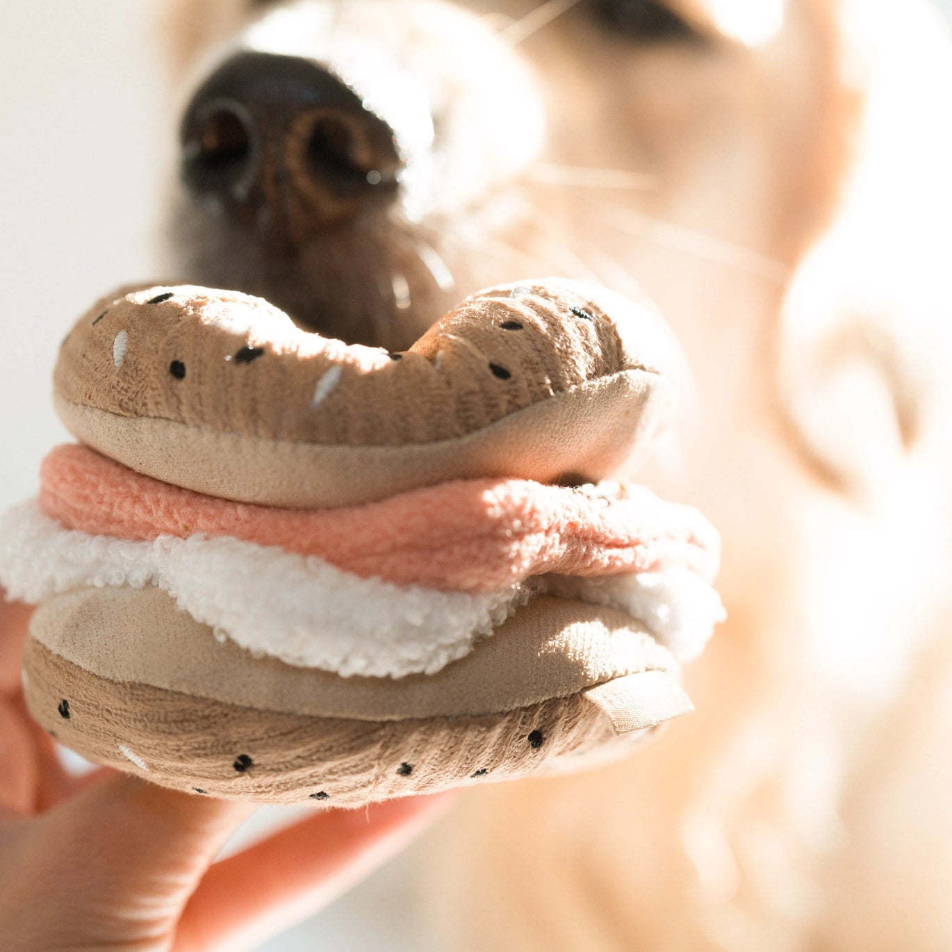 Enrichment Toy | Bagel & Pickle