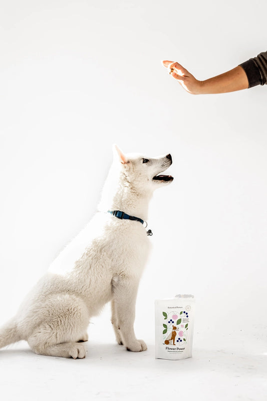 Wellness Treats | Flower Power
