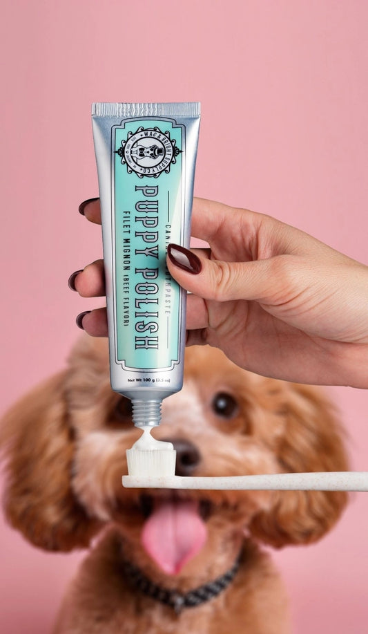 Eco Toothbrush | Large Dogs