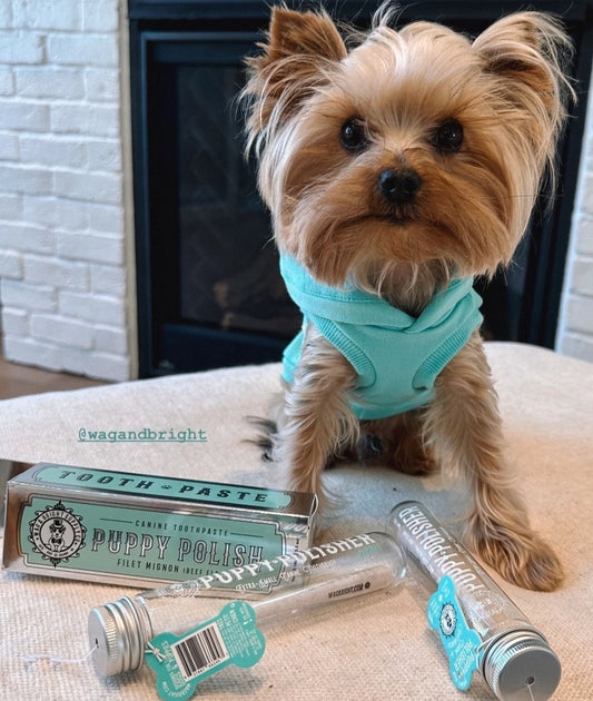 Eco Toothbrush | Small/Medium Dogs