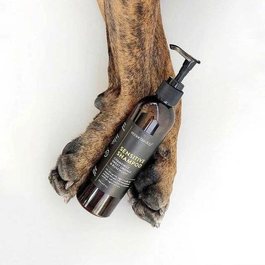 Sensitive Shampoo