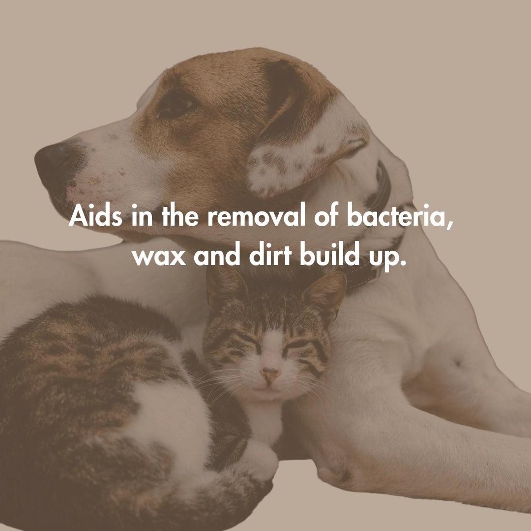 Every Ear Wash