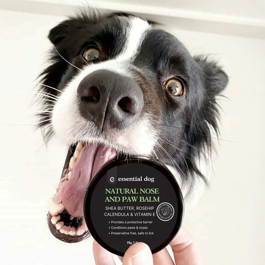 Natural Nose & Paw Balm