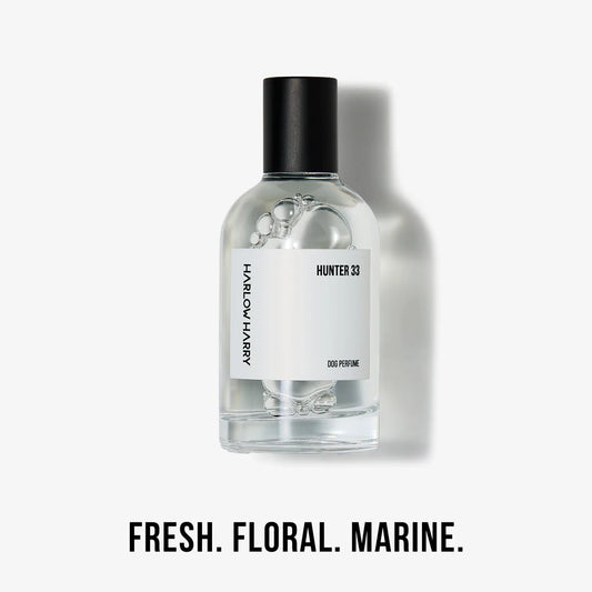 Perfume | Hunter 33 (50ml)