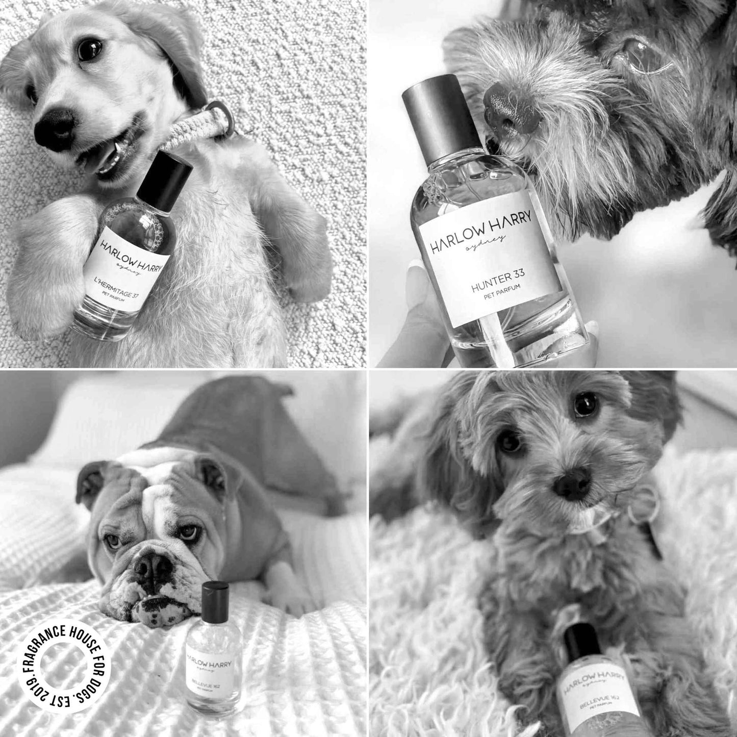 Perfume | L’Hermitage (50ml)