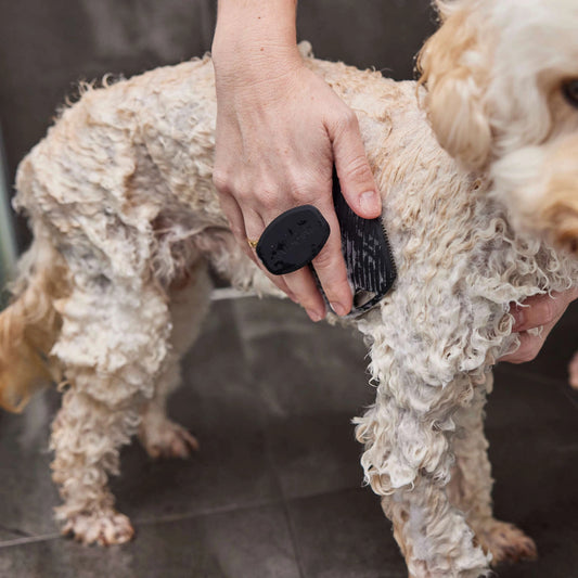 Luxe Lather Bathing Brush
