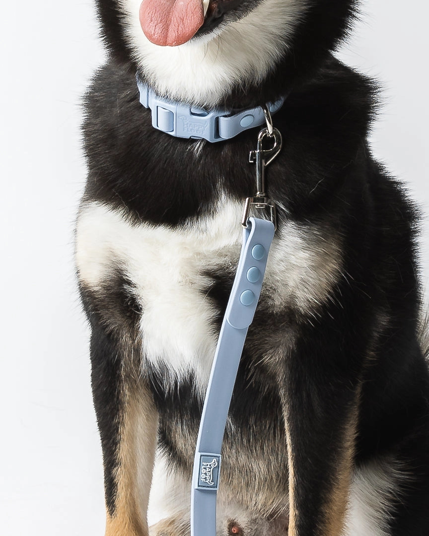 Weatherproof Leash | Light Blue