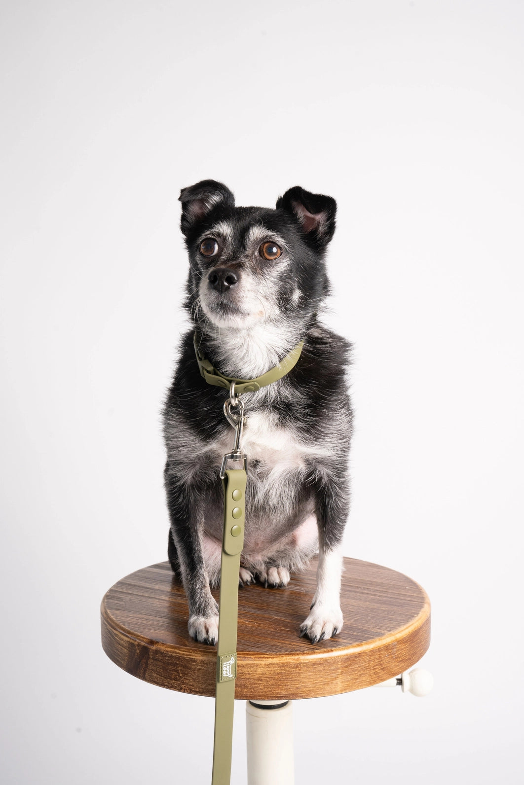 Weatherproof Leash | Green