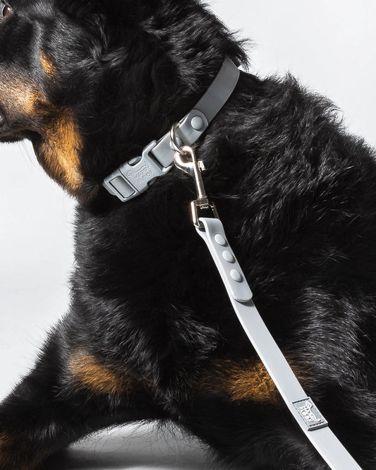 Weatherproof Collar | Grey