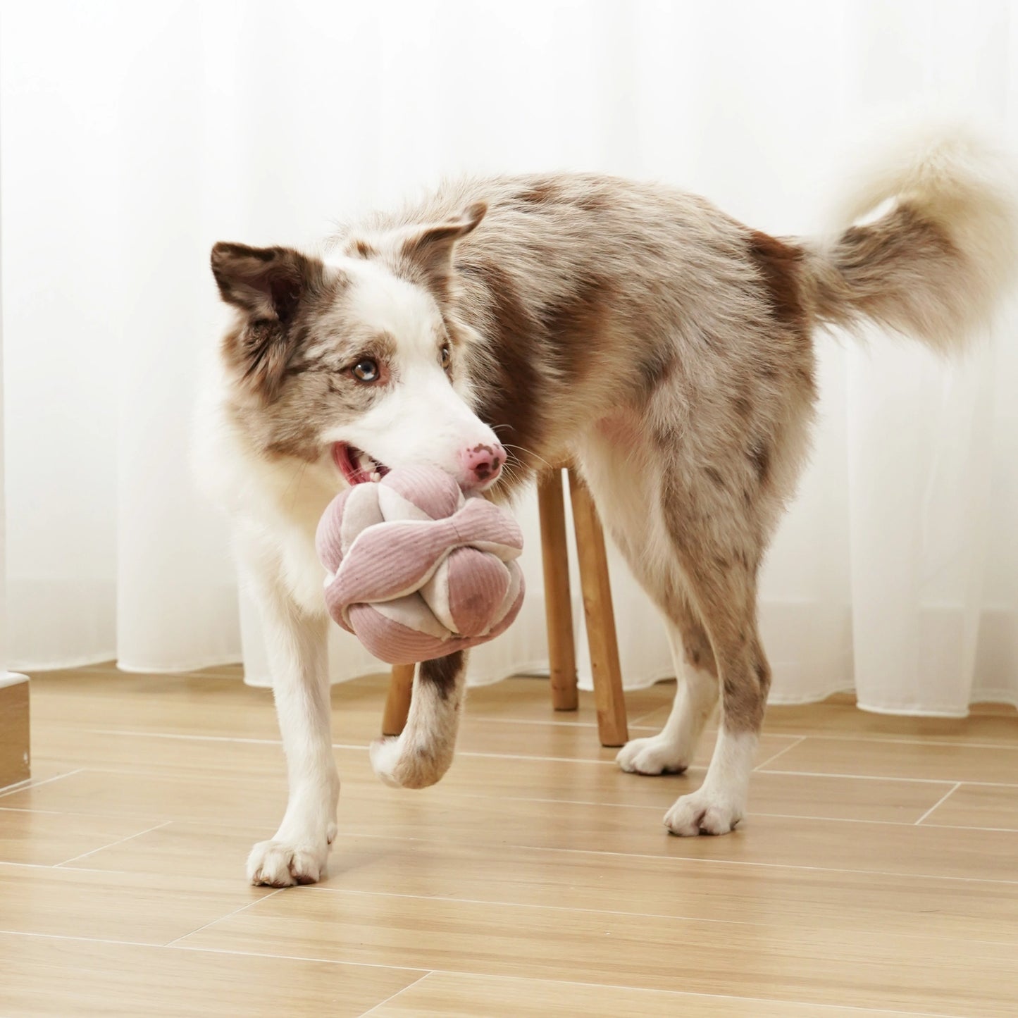 Silent Monti Enrichment Toy | Purple
