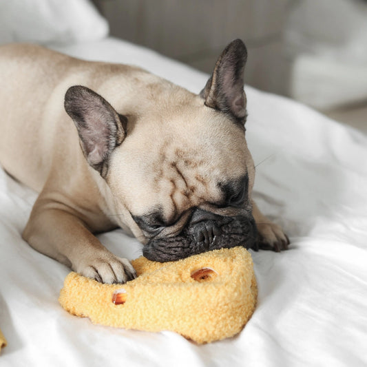 Cheese Enrichment Toy