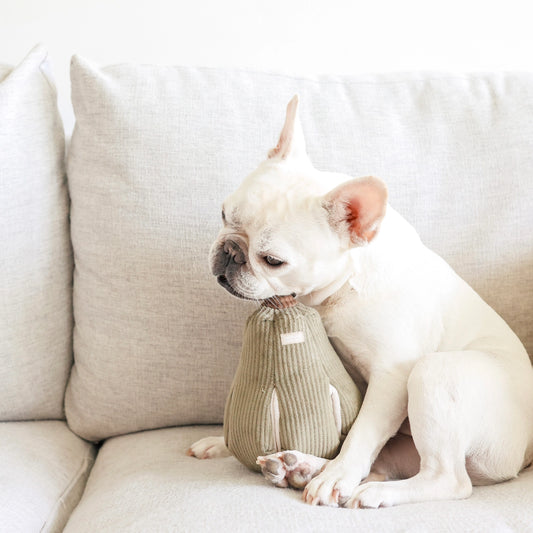 Silent Butternut Enrichment Toy