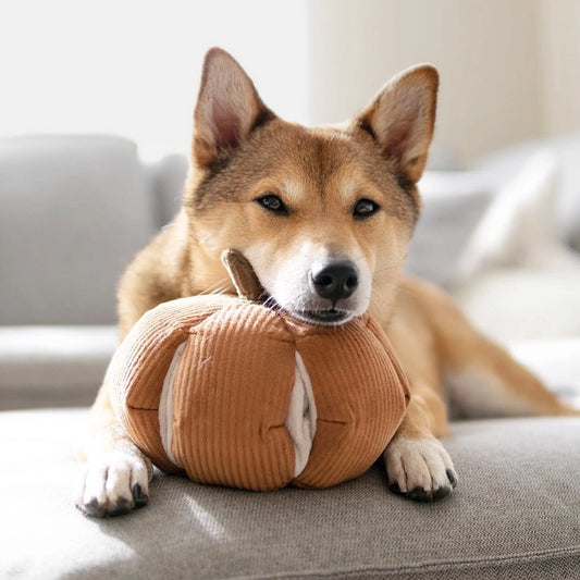 Pumpkin Enrichment Toy