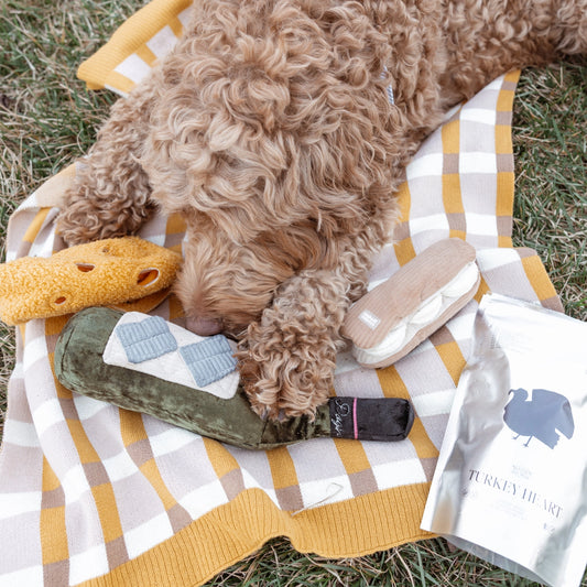 Wine Enrichment Toy