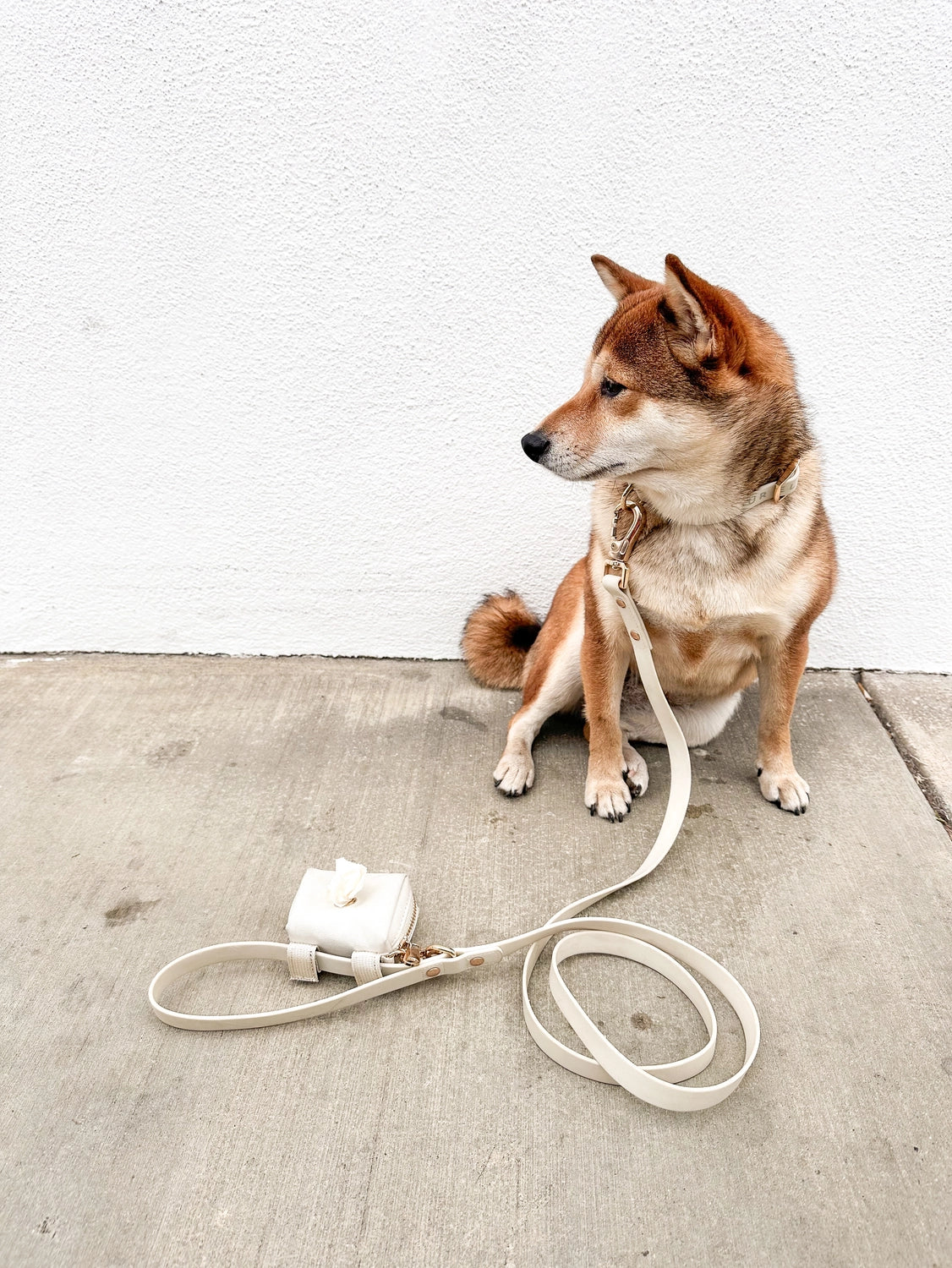 Elise Leash | Bone