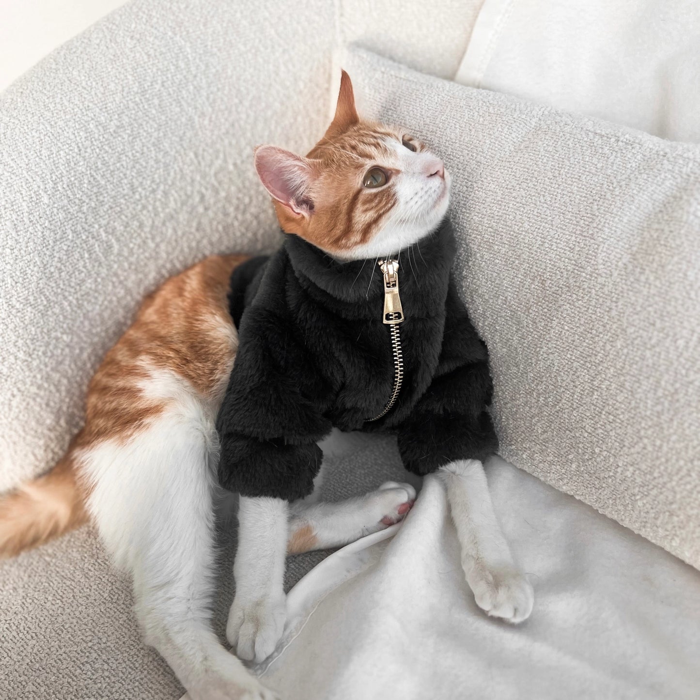 Furi Coat | Black