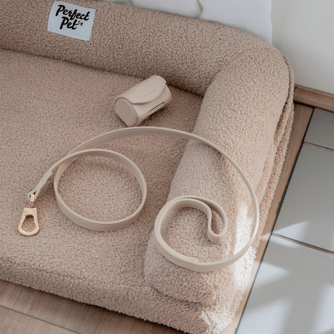 Leash | Cream
