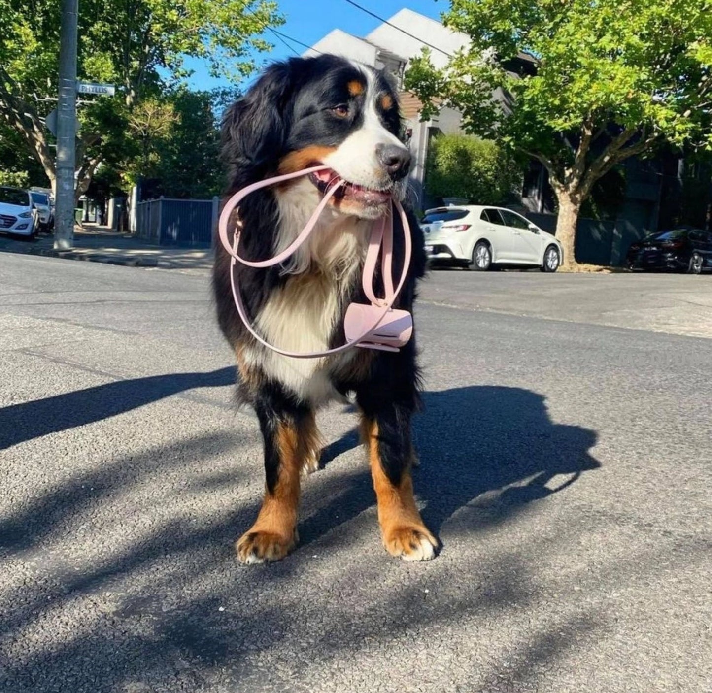 Bag Holder | Pink
