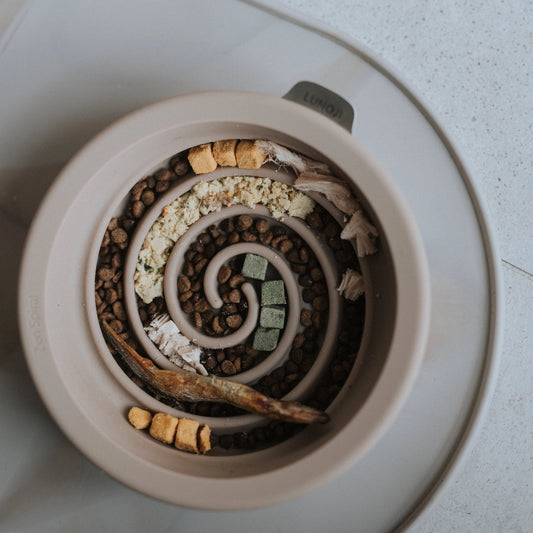 Zen Slow Feeder