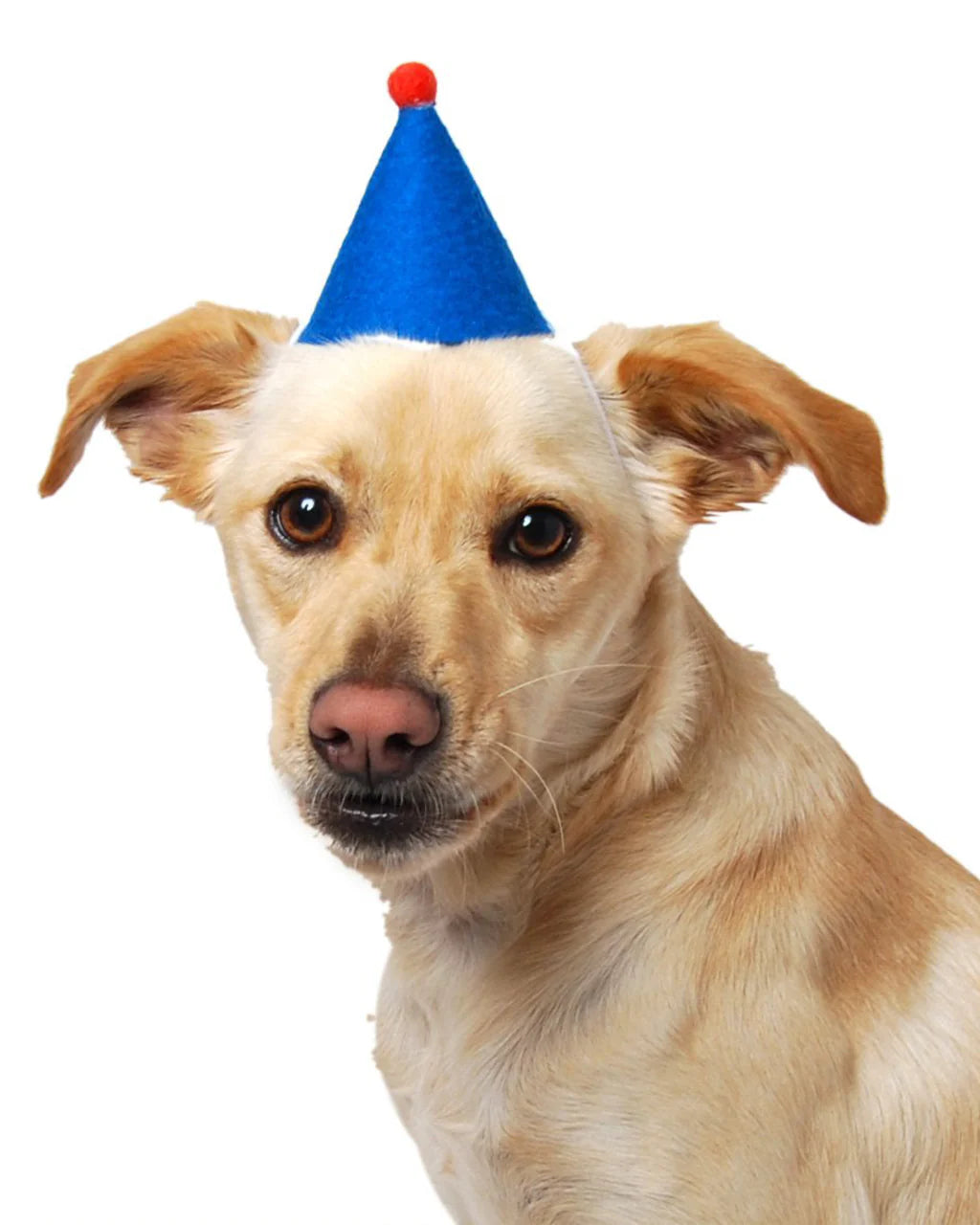 Wool Party Hat | Yellow