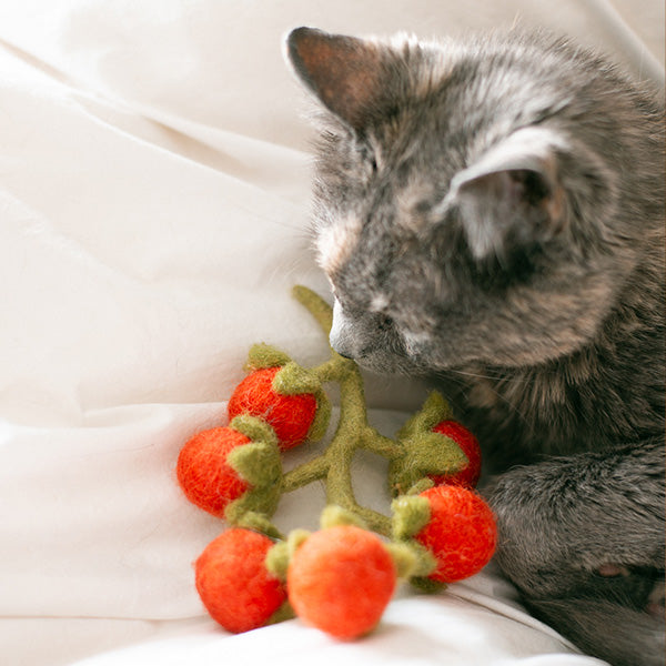 Wool Cherry Tomatoes Toy