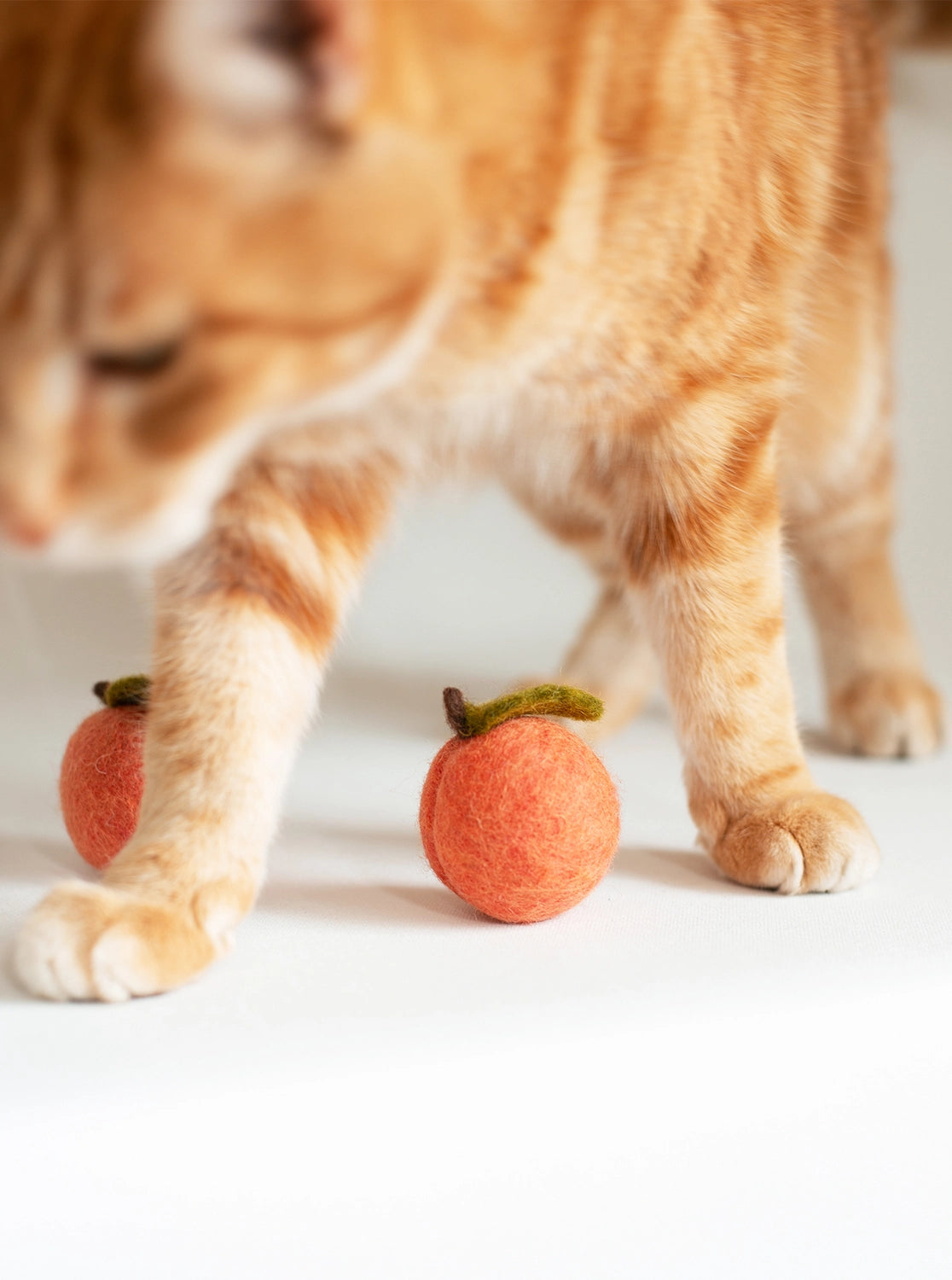 Wool Peach Toy