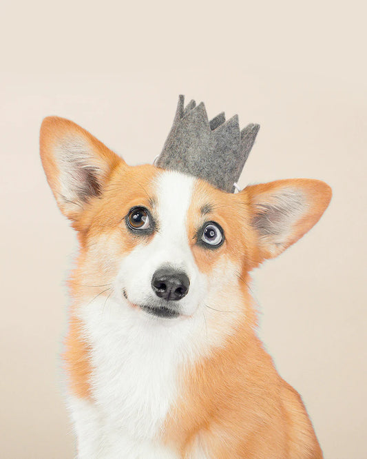 Wool Party Crown | Grey