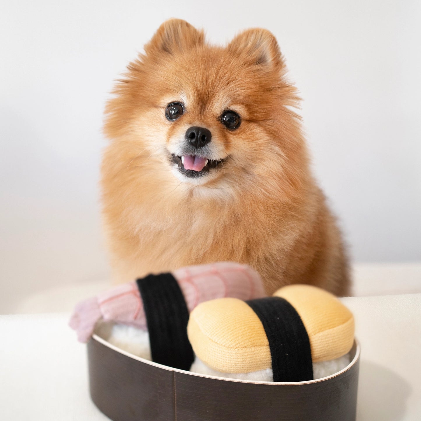 Sushi Set Enrichment Toy