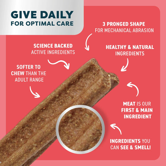 Puppy Dental Sticks | Beef