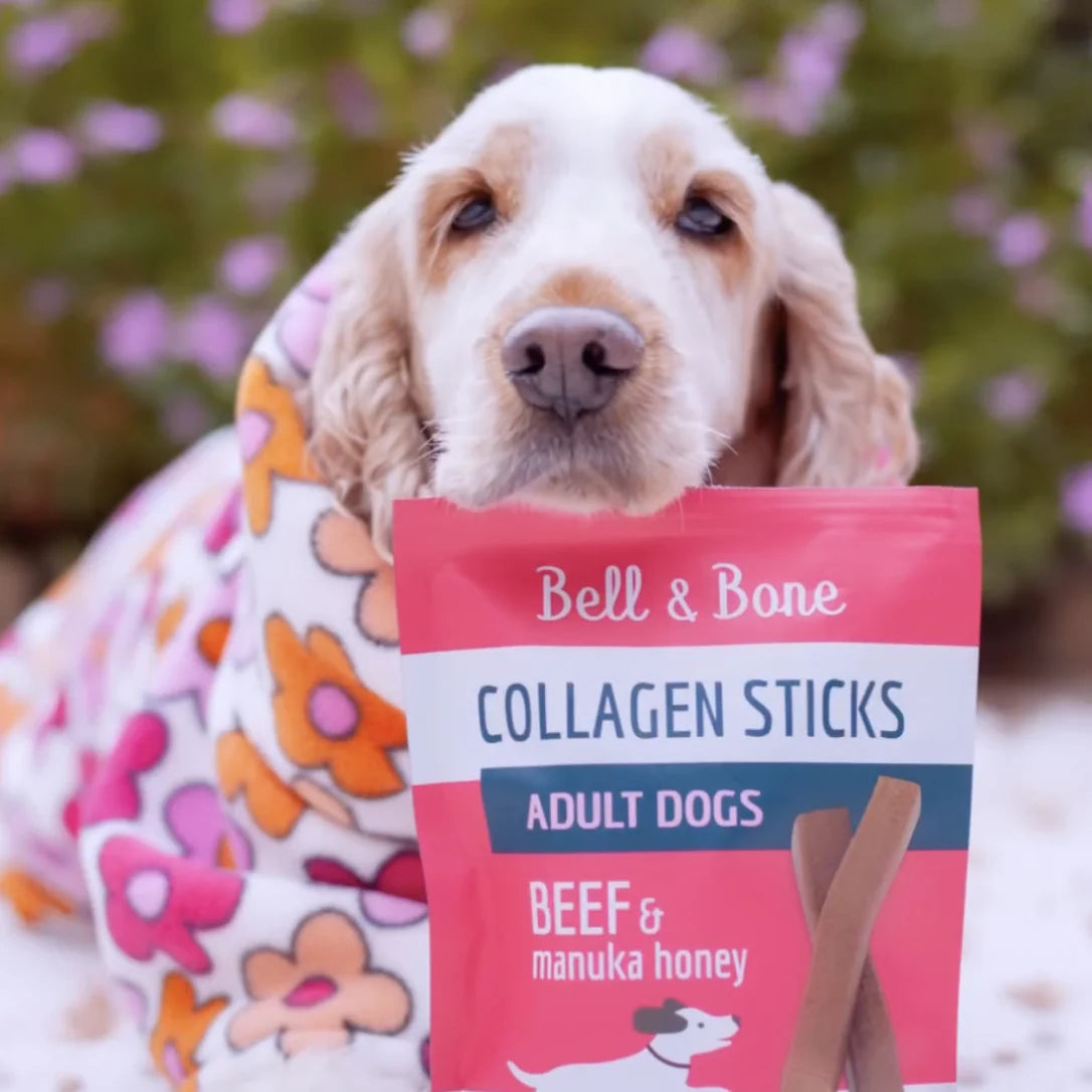 Collagen Sticks | Beef