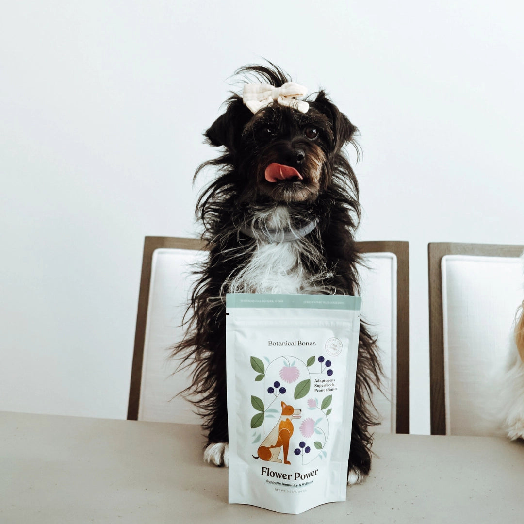 Wellness Treats | Flower Power