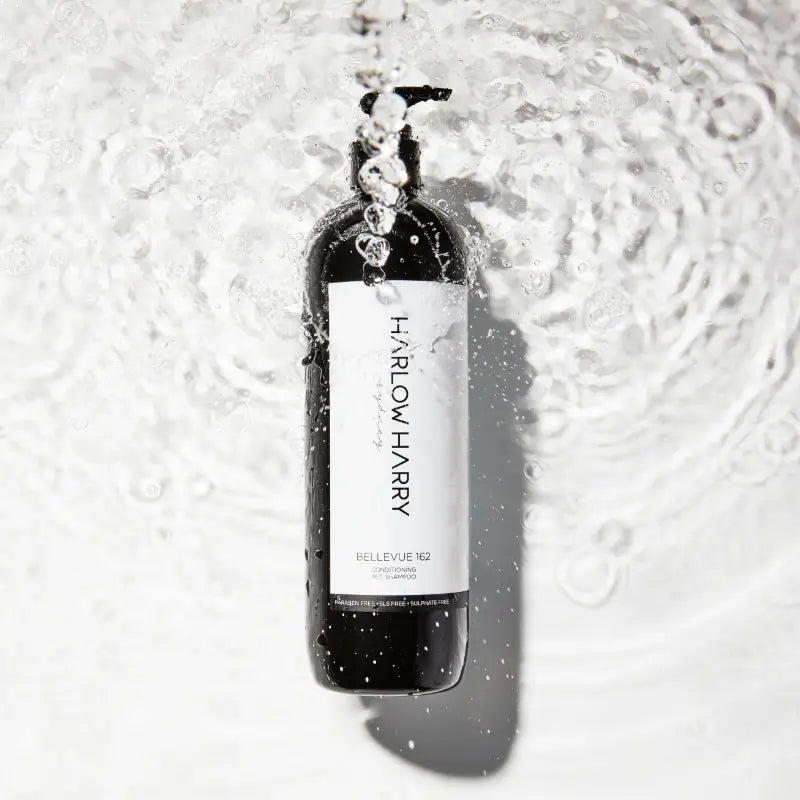 2-in-1 Shampoo | Bellevue 162