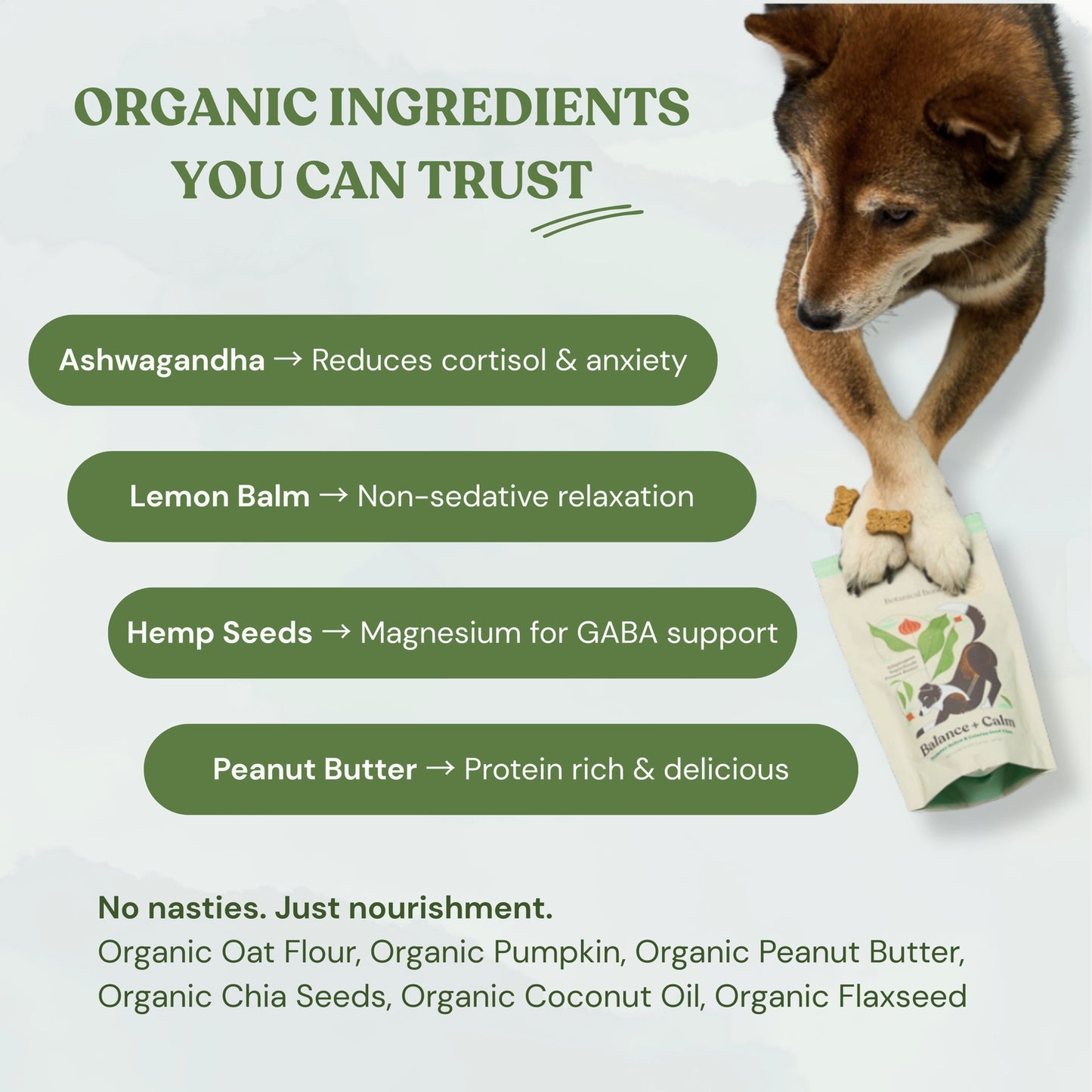 Wellness Treats | Balance & Calm