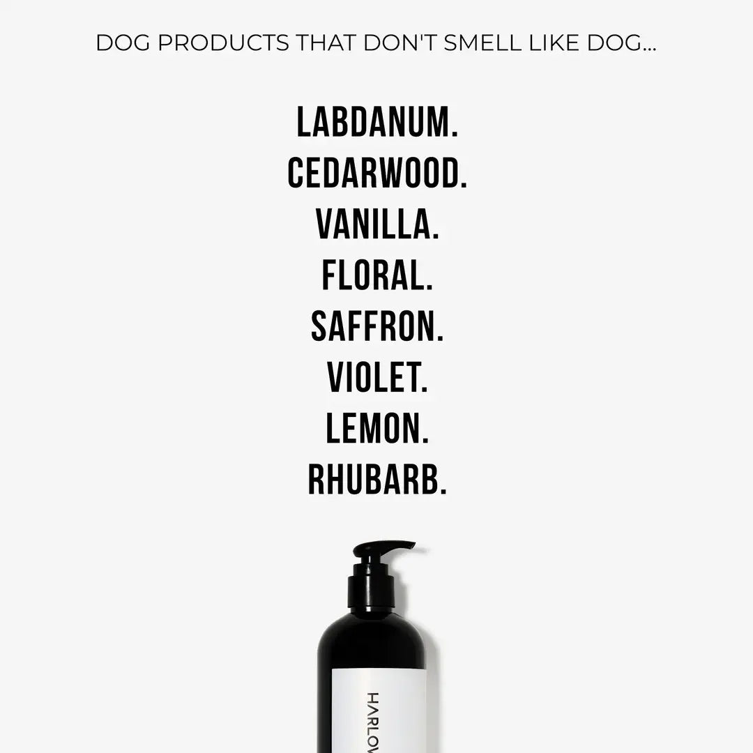 2-in-1 Shampoo | D'Bacca 169