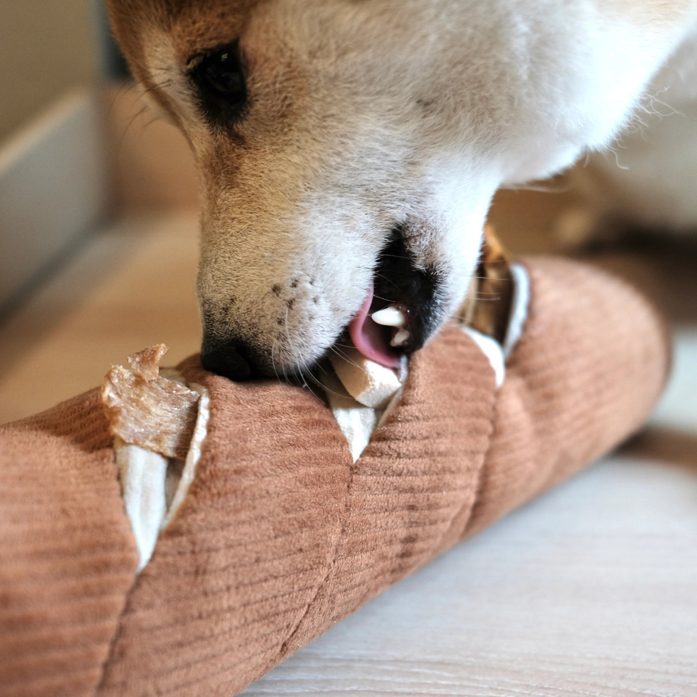 Enrichment Toy | Baguette