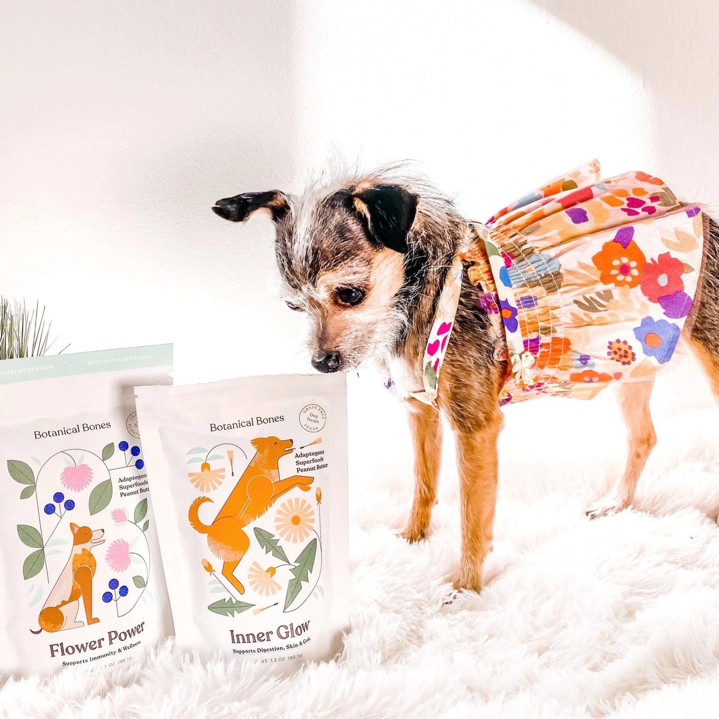 Wellness Treats | Inner Glow