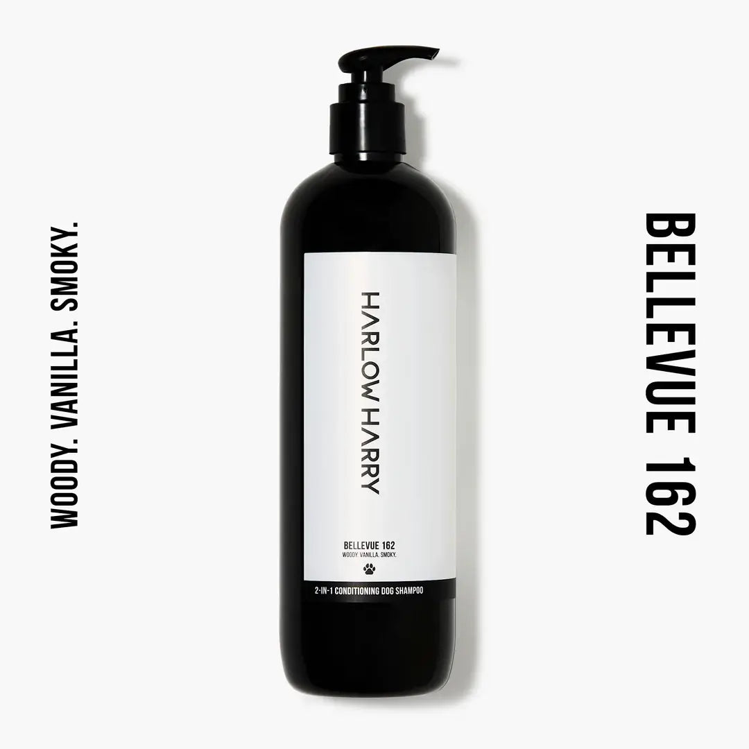 2-in-1 Shampoo | Bellevue 162