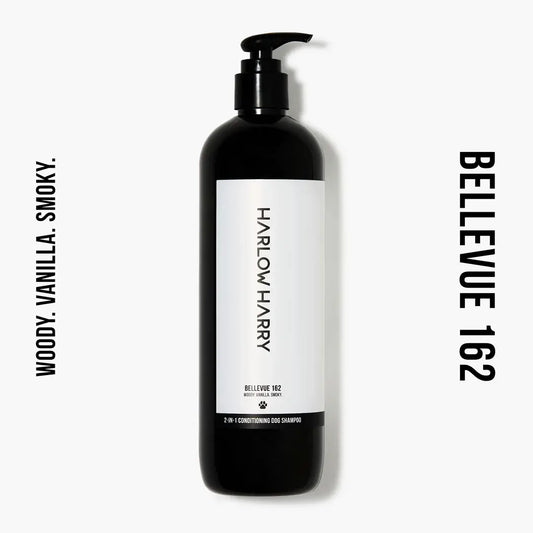 2-in-1 Shampoo | Bellevue 162