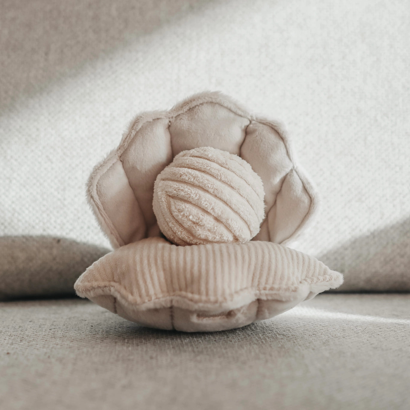 Enrichment Toy | Oyster Shell