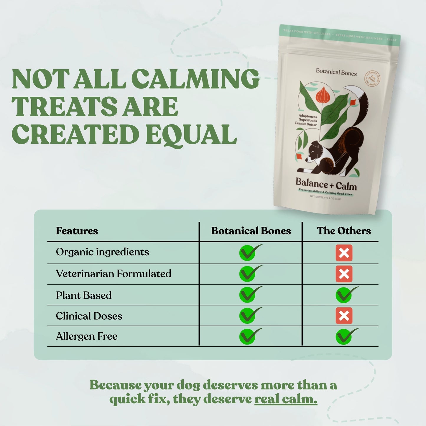 Wellness Treats | Balance & Calm