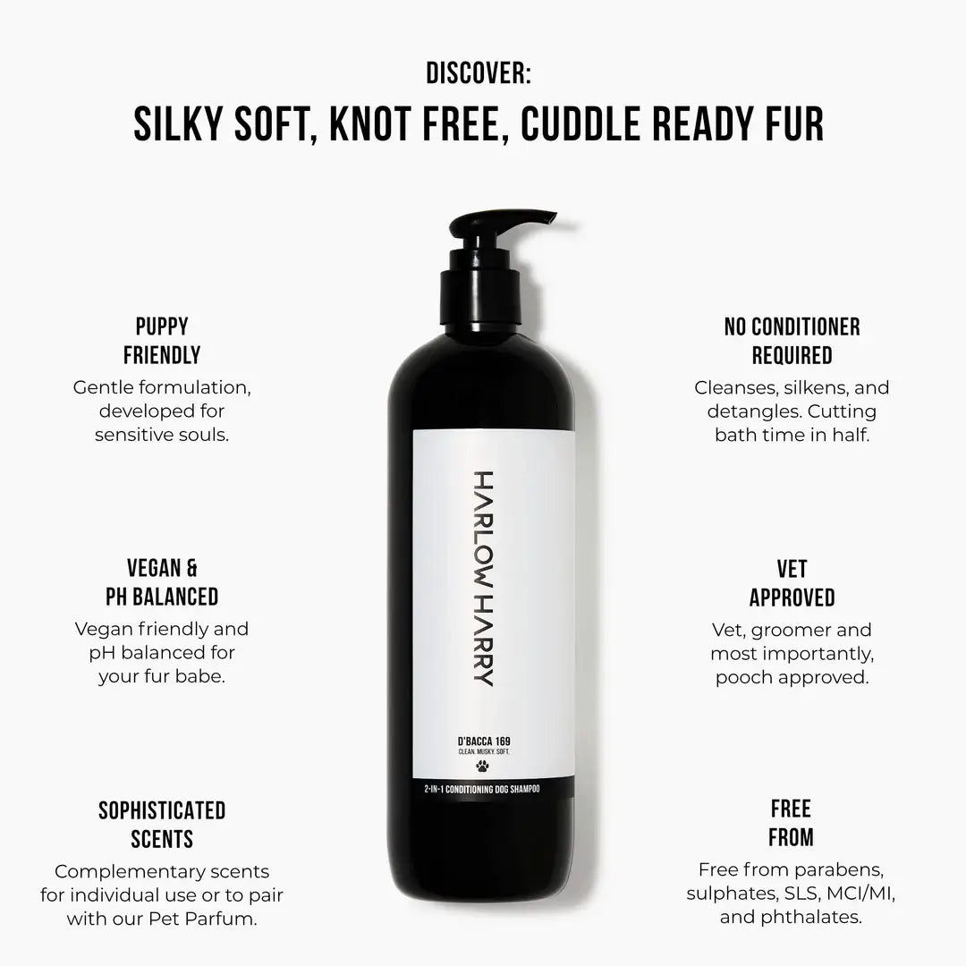 2-in-1 Shampoo | Hunter 33