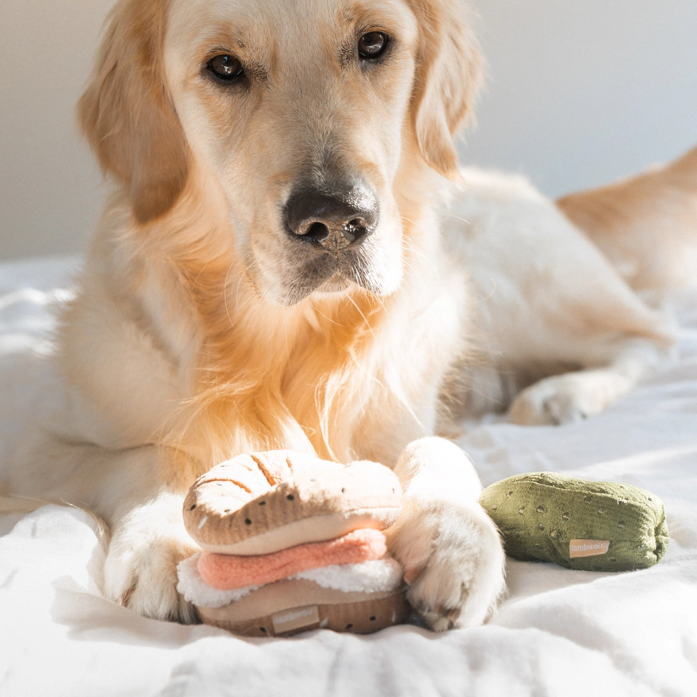 Enrichment Toy | Bagel & Pickle