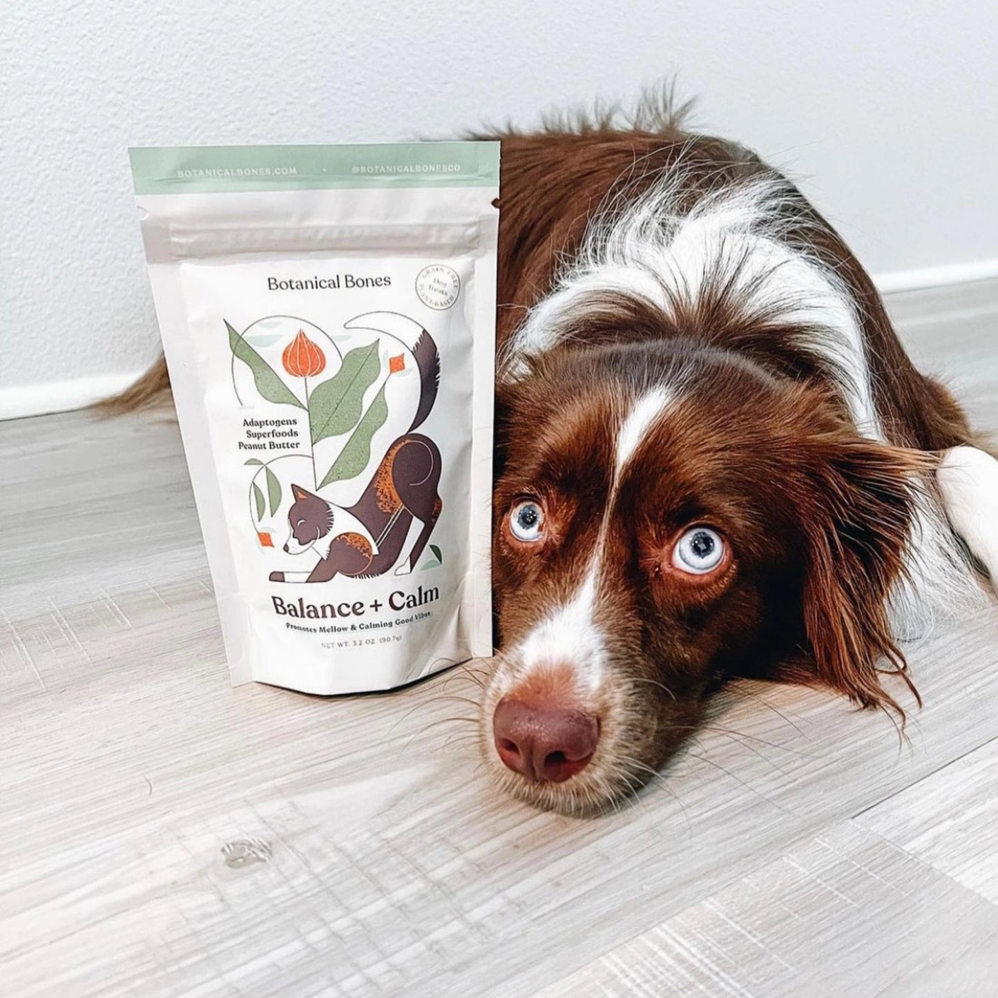 Wellness Treats | Balance & Calm