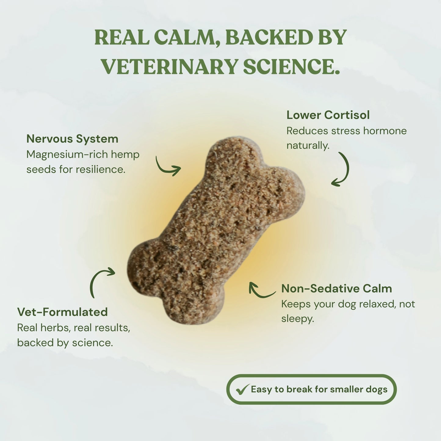 Wellness Treats | Balance & Calm