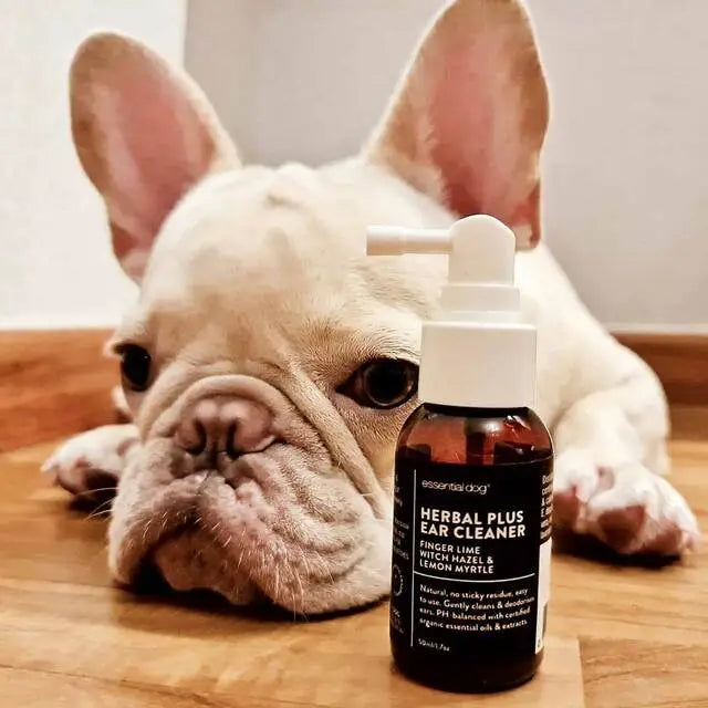 Herbal Plus Ear Cleaner