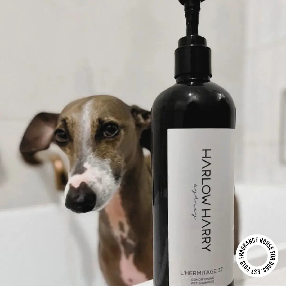 2-in-1 Shampoo | L'Hermitage