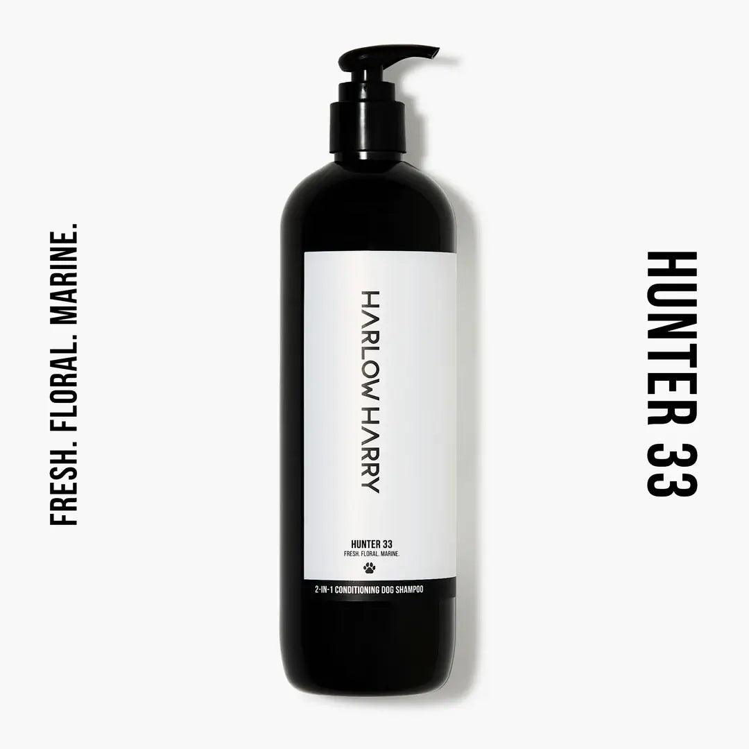 2-in-1 Shampoo | Hunter 33