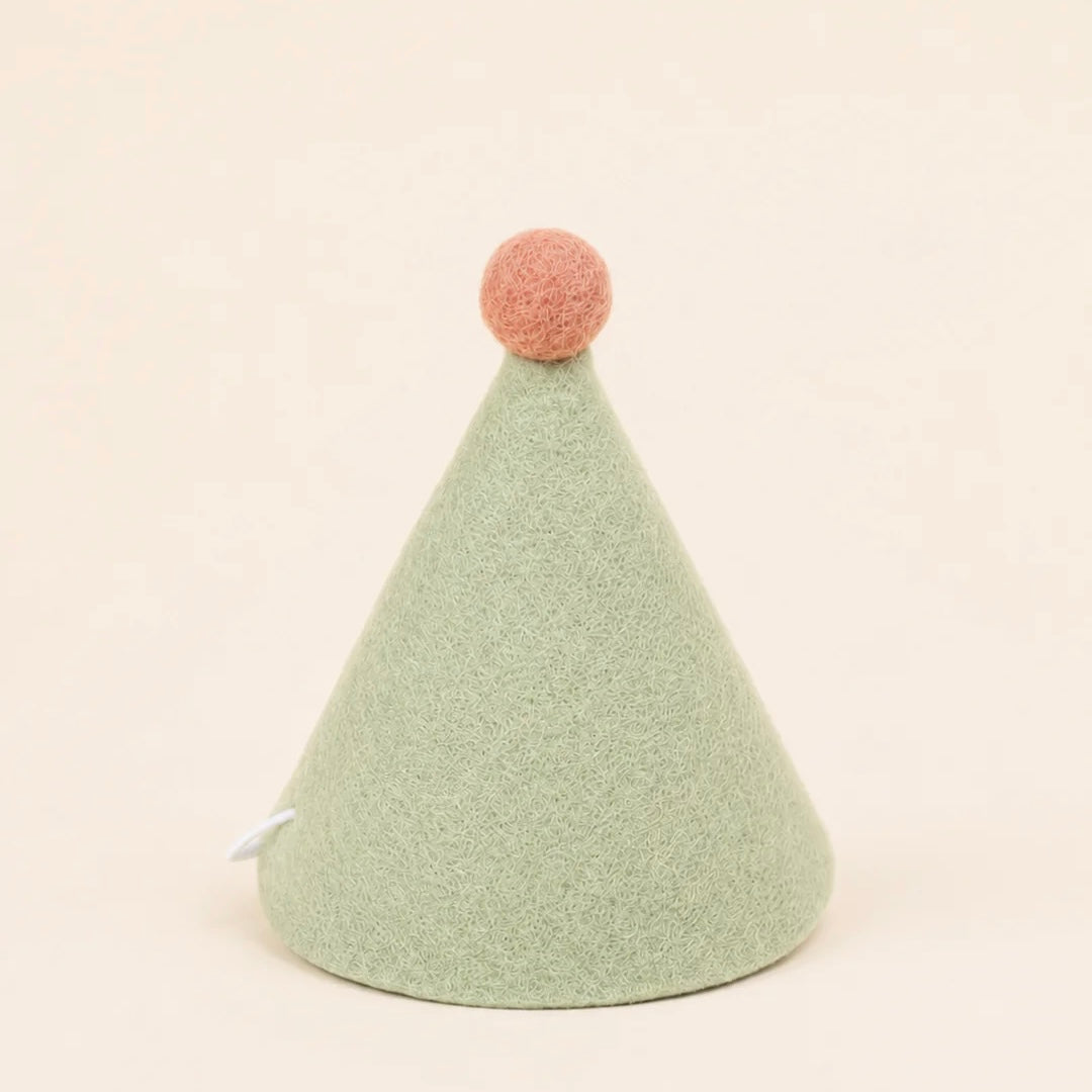 Wool Party Hat | Green
