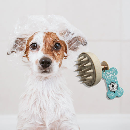 Eco Bath Brush