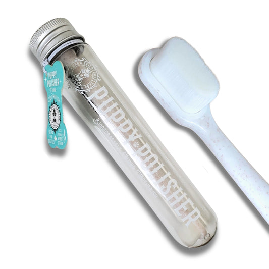 Eco Toothbrush | Large Dogs
